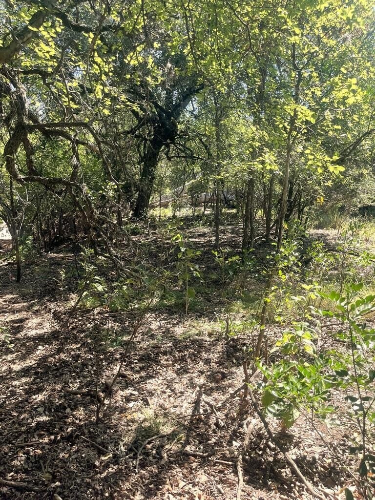 6.46 acres in Uvalde County - photo 7
