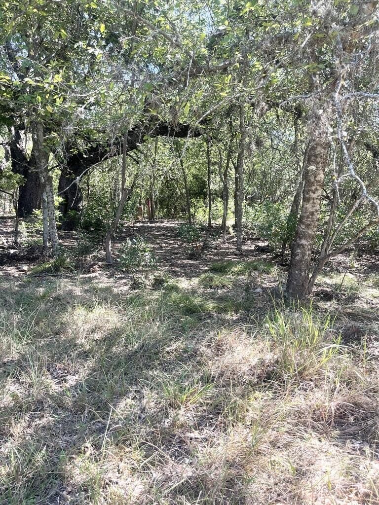 6.46 acres in Uvalde County - photo 6