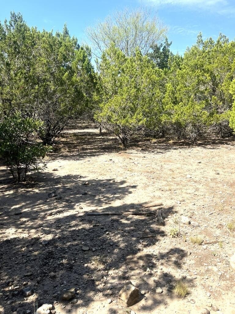 6.46 acres in Uvalde County - photo 19