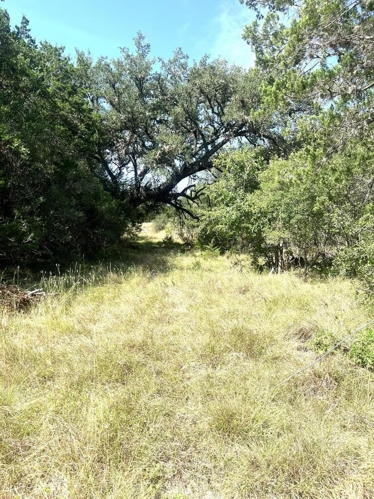 6.46 acres in Uvalde County - photo 4