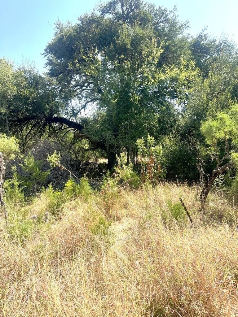 6.46 acres in Uvalde County - photo 2