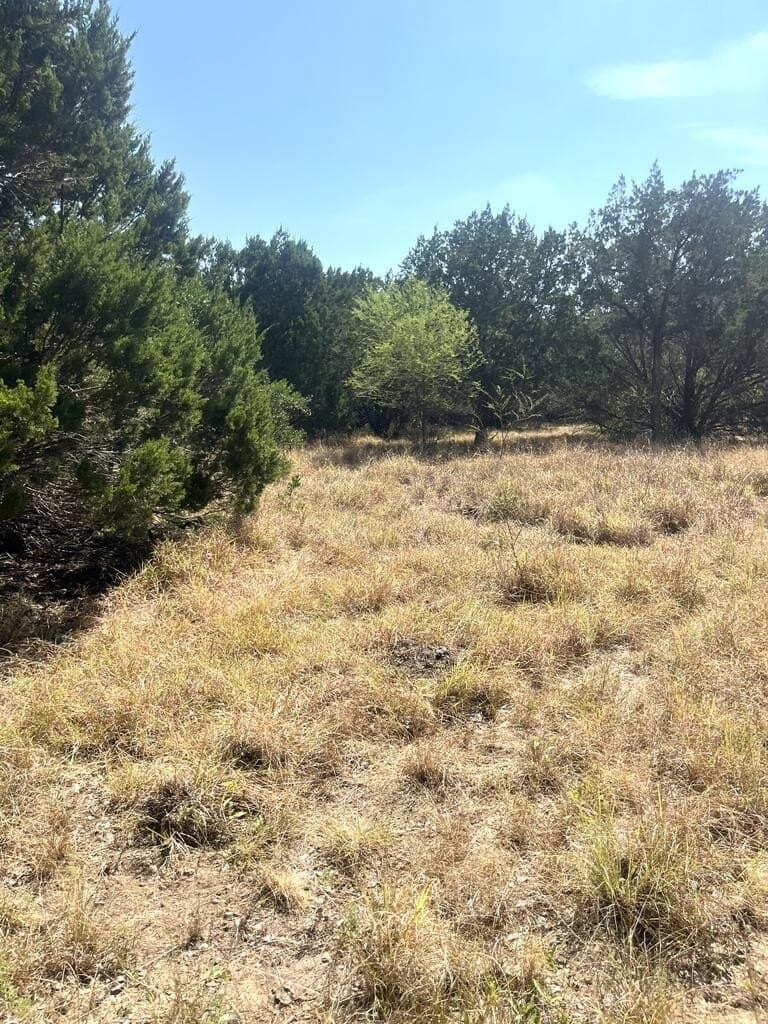 6.46 acres in Uvalde County - photo 15