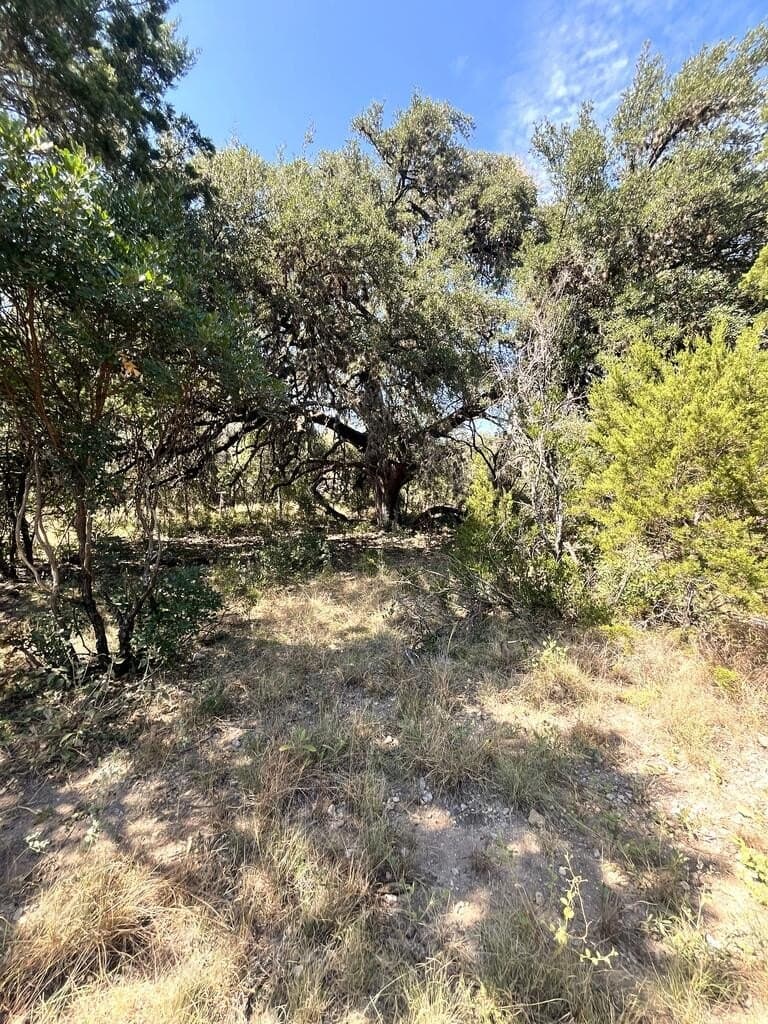 6.46 acres in Uvalde County - photo 16