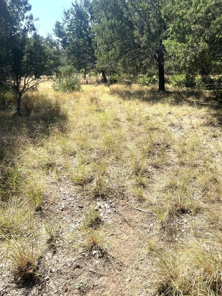 6.46 acres in Uvalde County - photo 12