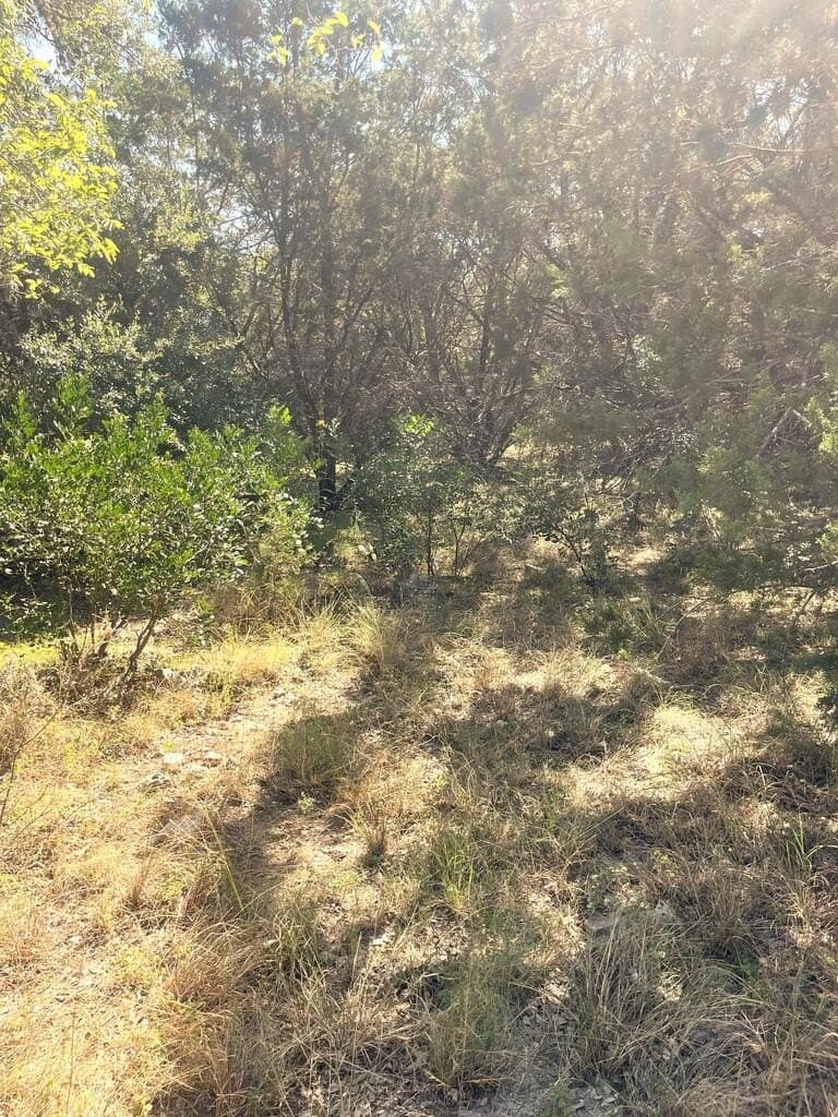 6.46 acres in Uvalde County - photo 5