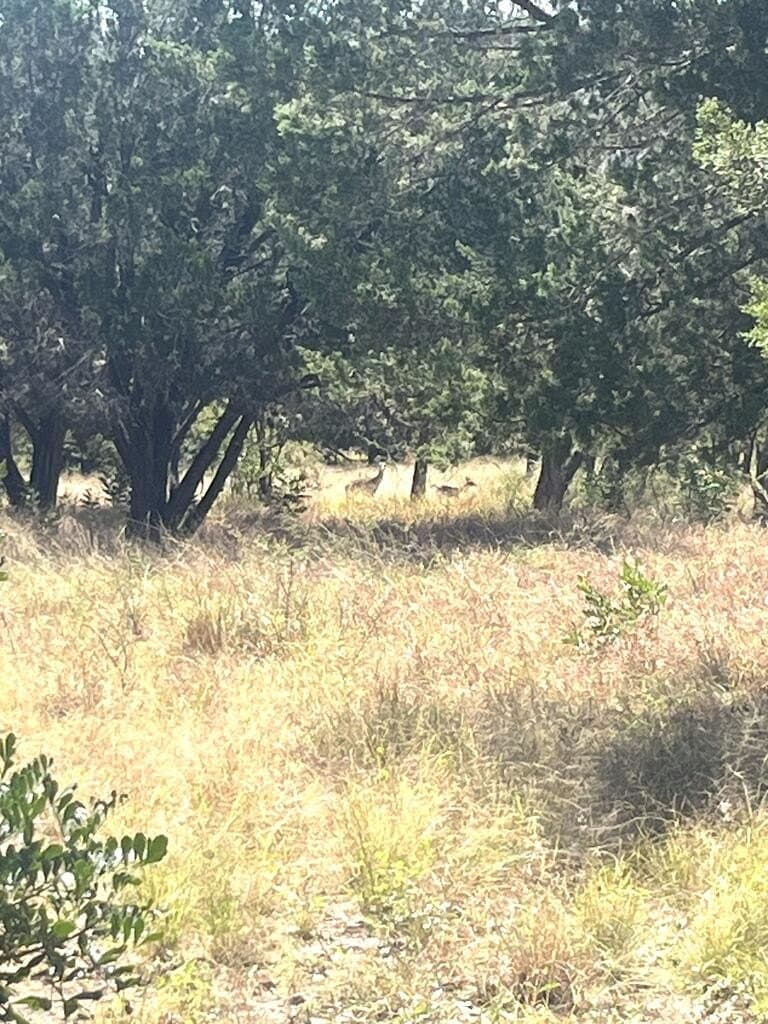 6.46 acres in Uvalde County - photo 13