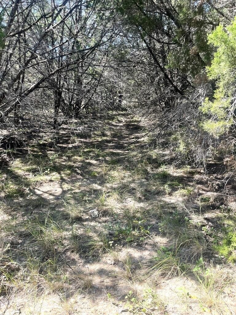 6.46 acres in Uvalde County - photo 11