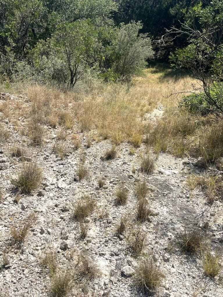 6.46 acres in Uvalde County - photo 23