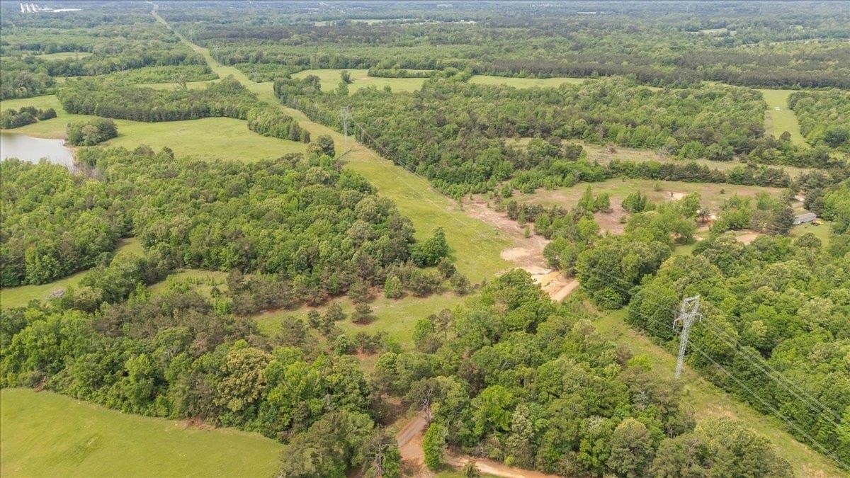 1.5 acres in Panola County - photo 6