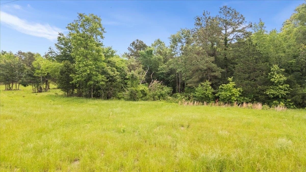 1.5 acres in Panola County - photo 19
