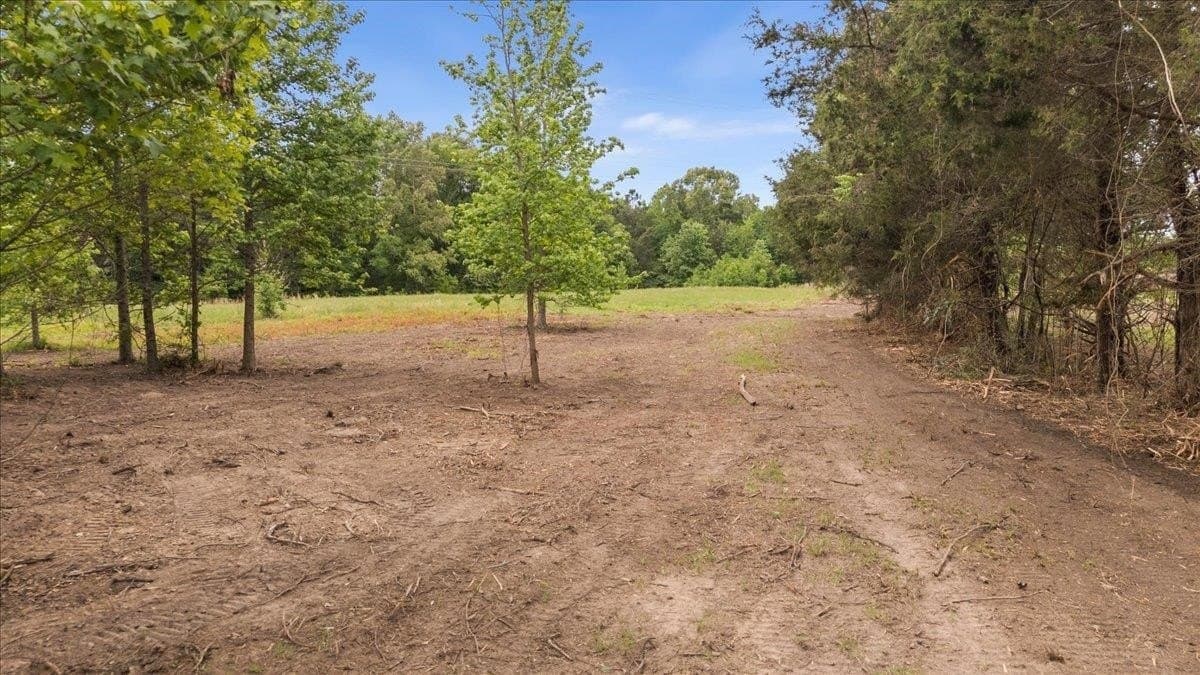 1.5 acres in Panola County - photo 17