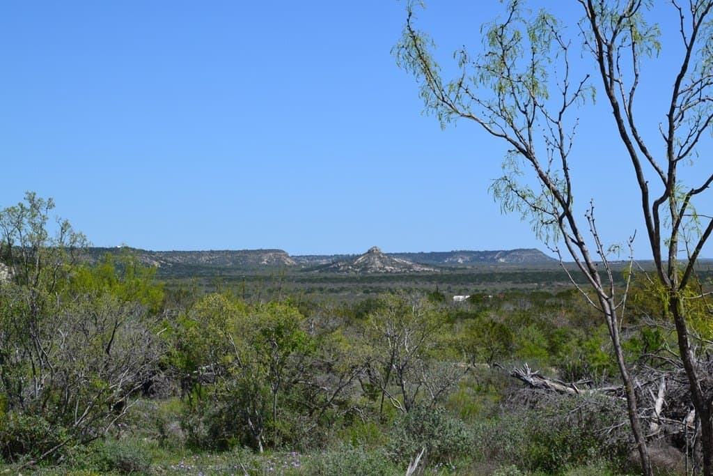 51.3 acres in Kimble County gallery image 3