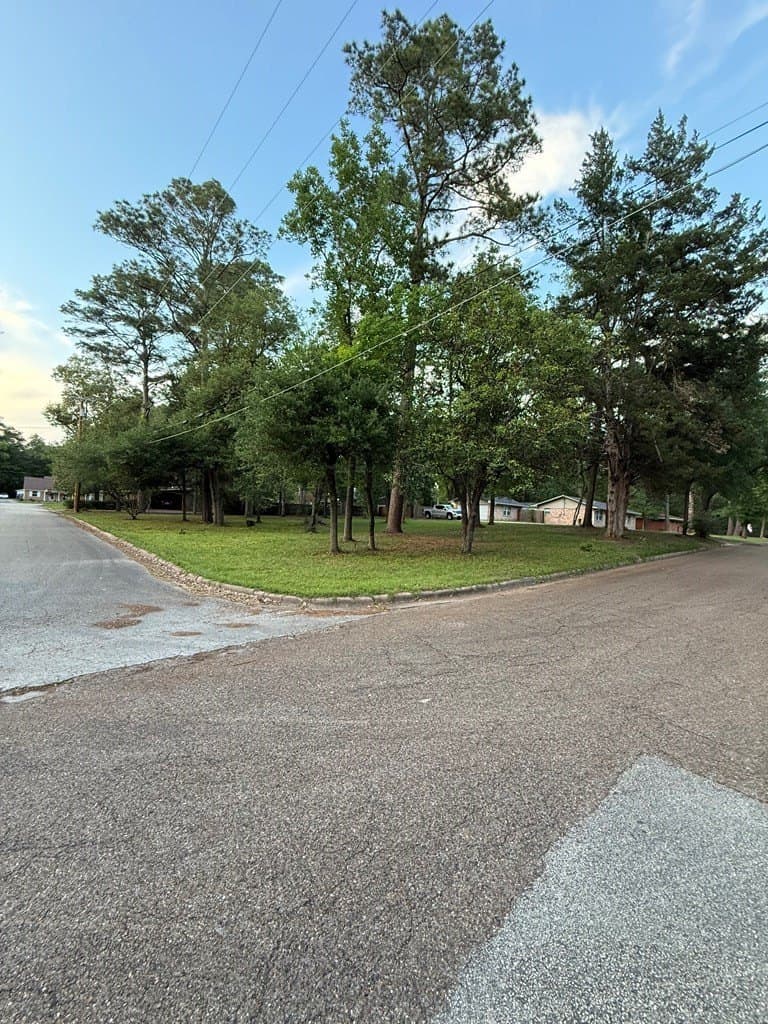 0.35 acres in Texas County gallery image 2