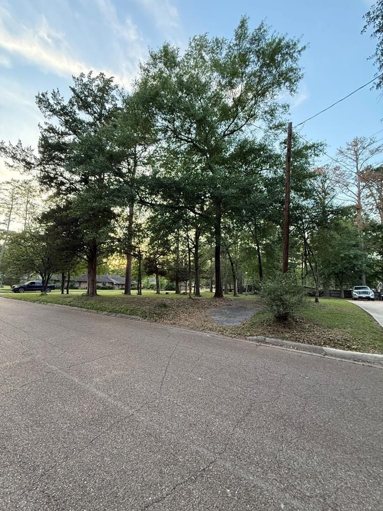0.35 acres in Texas County