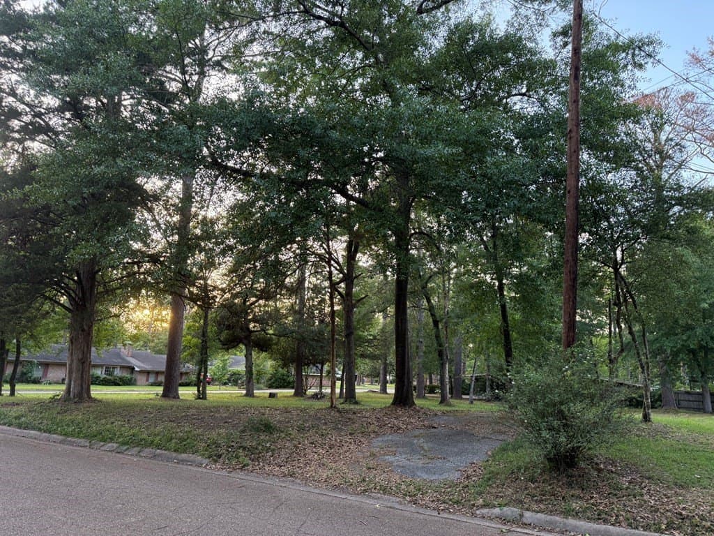 0.35 acres in Texas County gallery image 4