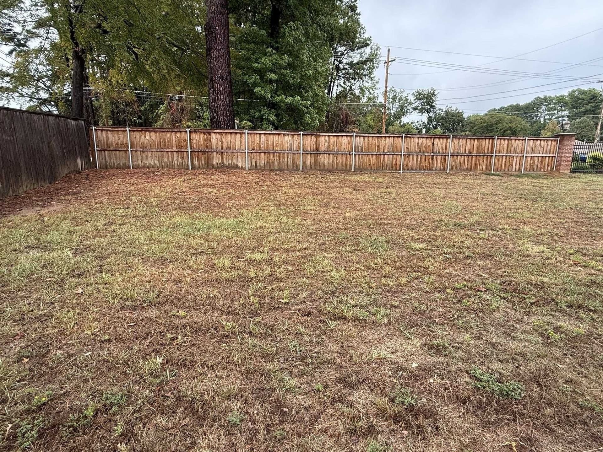 0.14 acres in Texas County - photo 5
