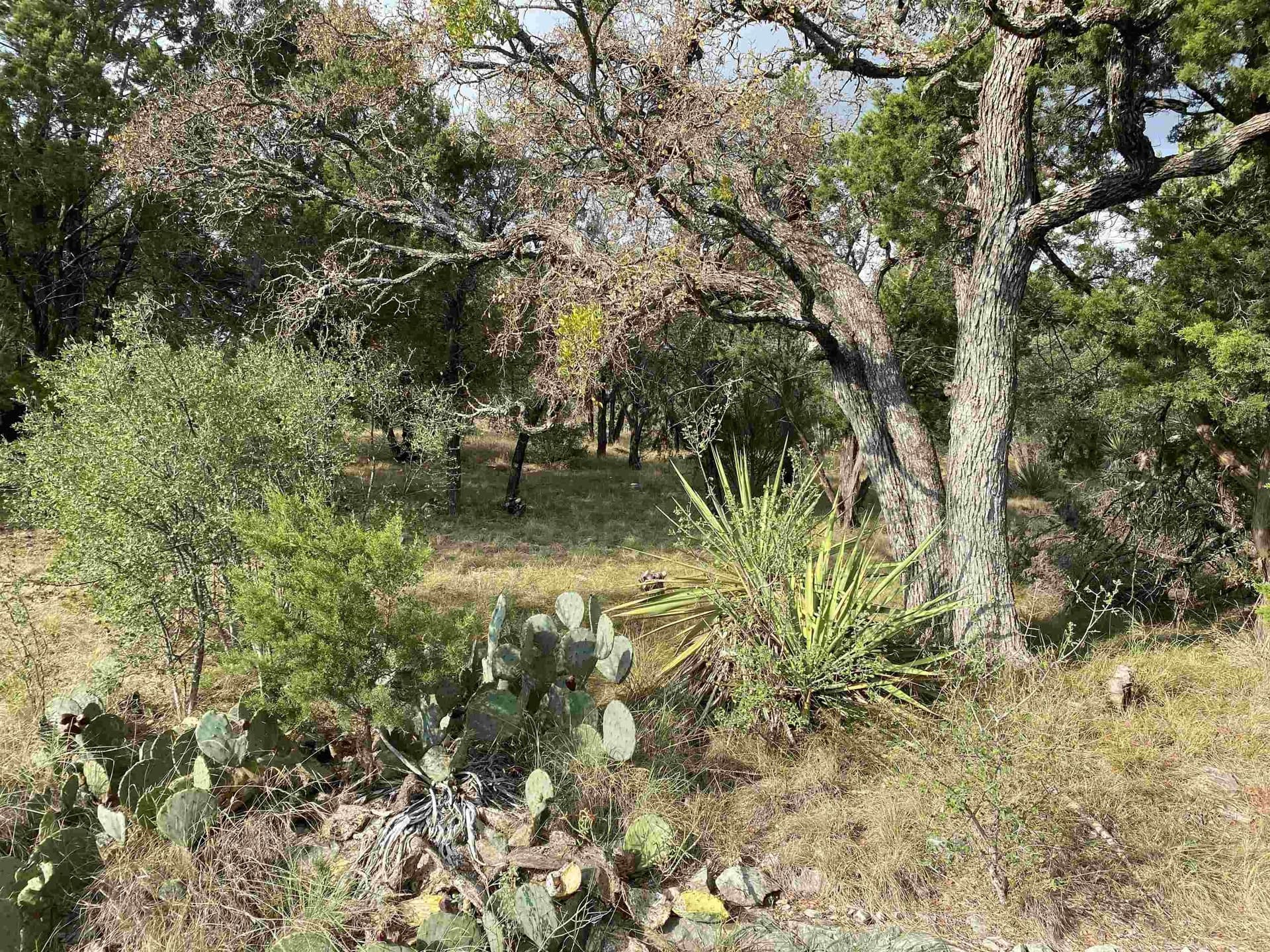 0.27 acres in Llano County gallery image 2