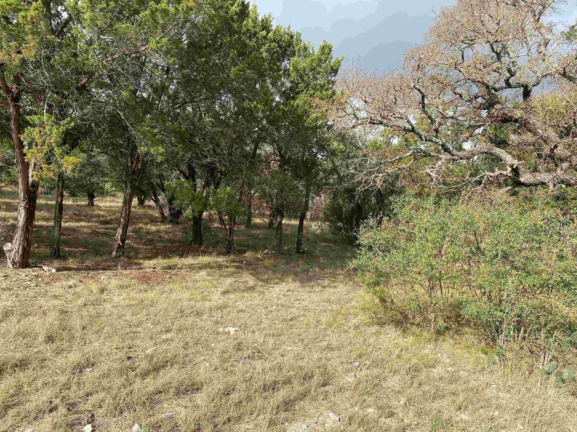 0.27 acres in Llano County gallery image 3