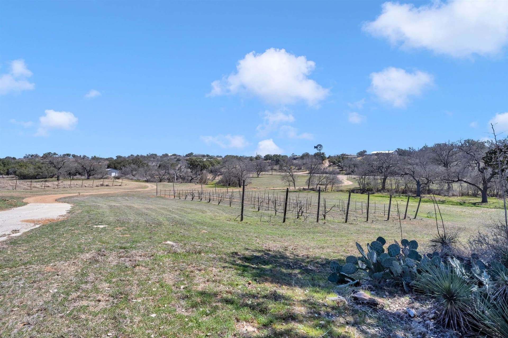 10.24 acres in Llano County - photo 24