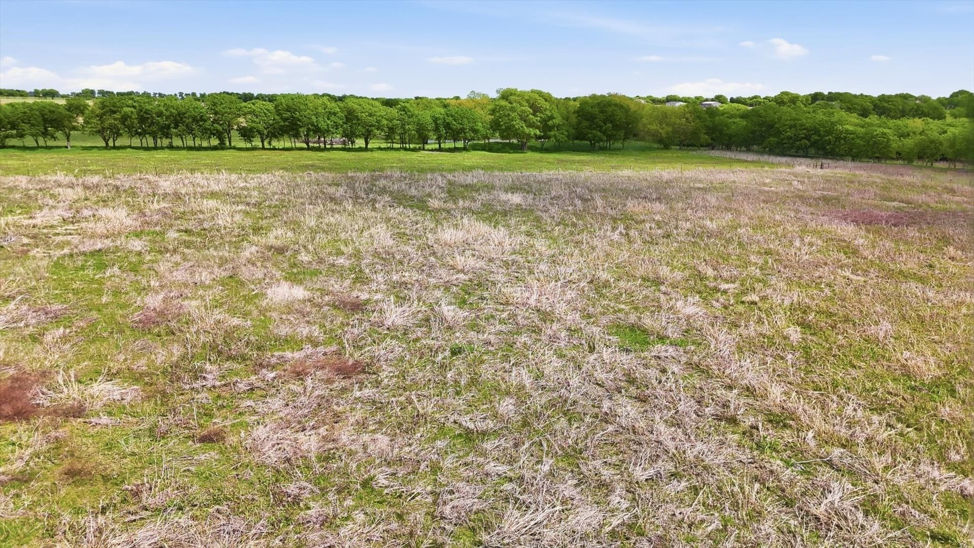11.47 acres in Denton County - photo 15
