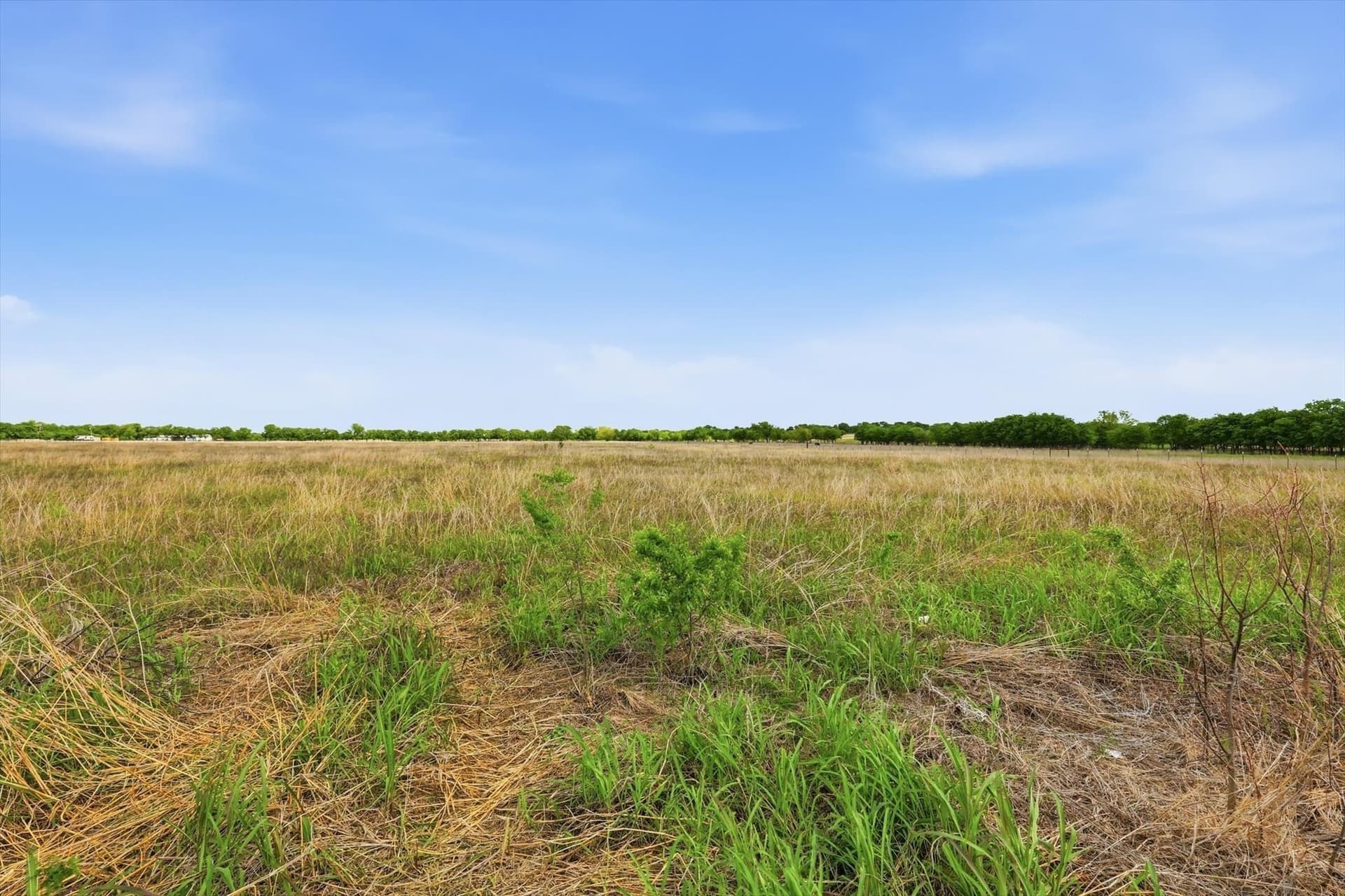 11.47 acres in Denton County - photo 18