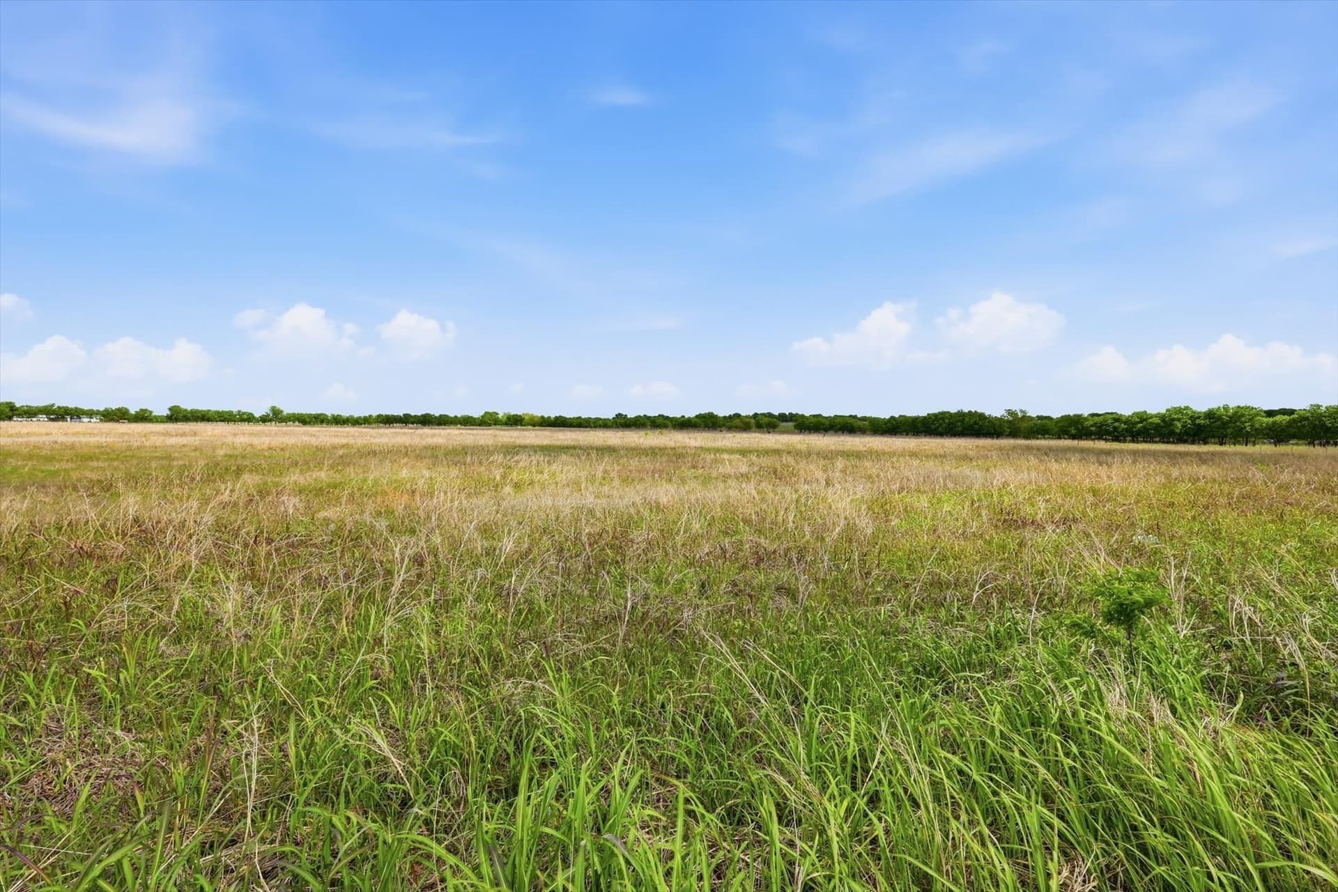 11.47 acres in Denton County - photo 17