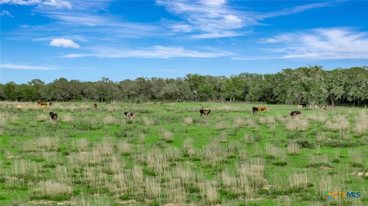 158.75 acres in Lavaca County - photo 13