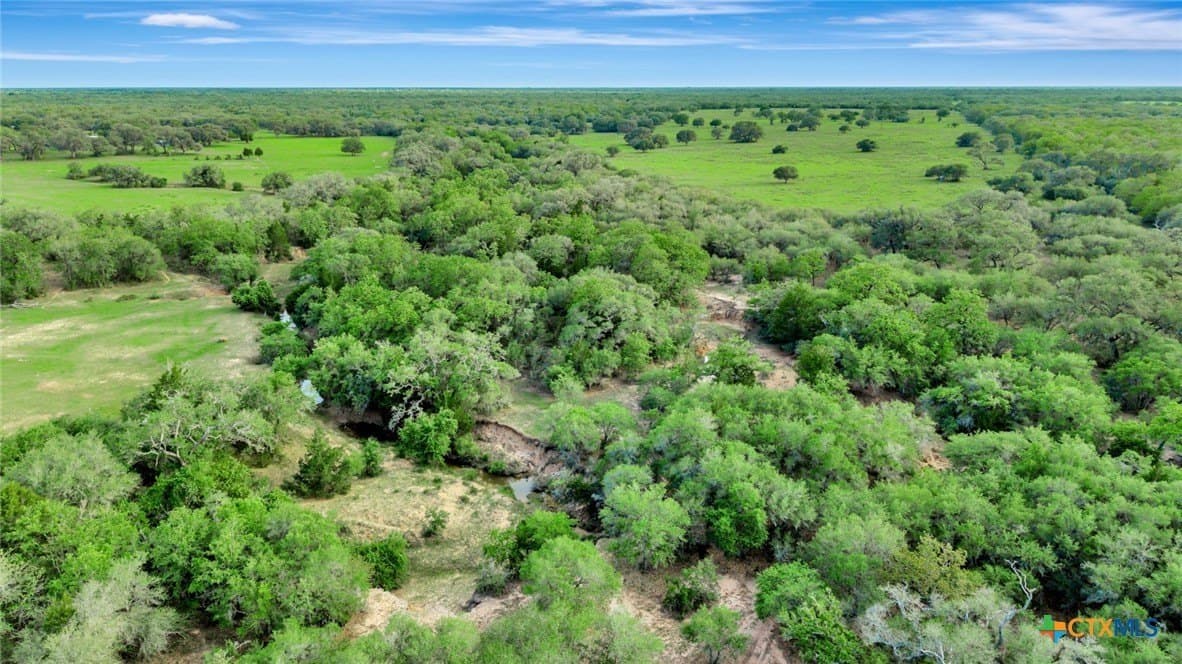 158.75 acres in Lavaca County - photo 6