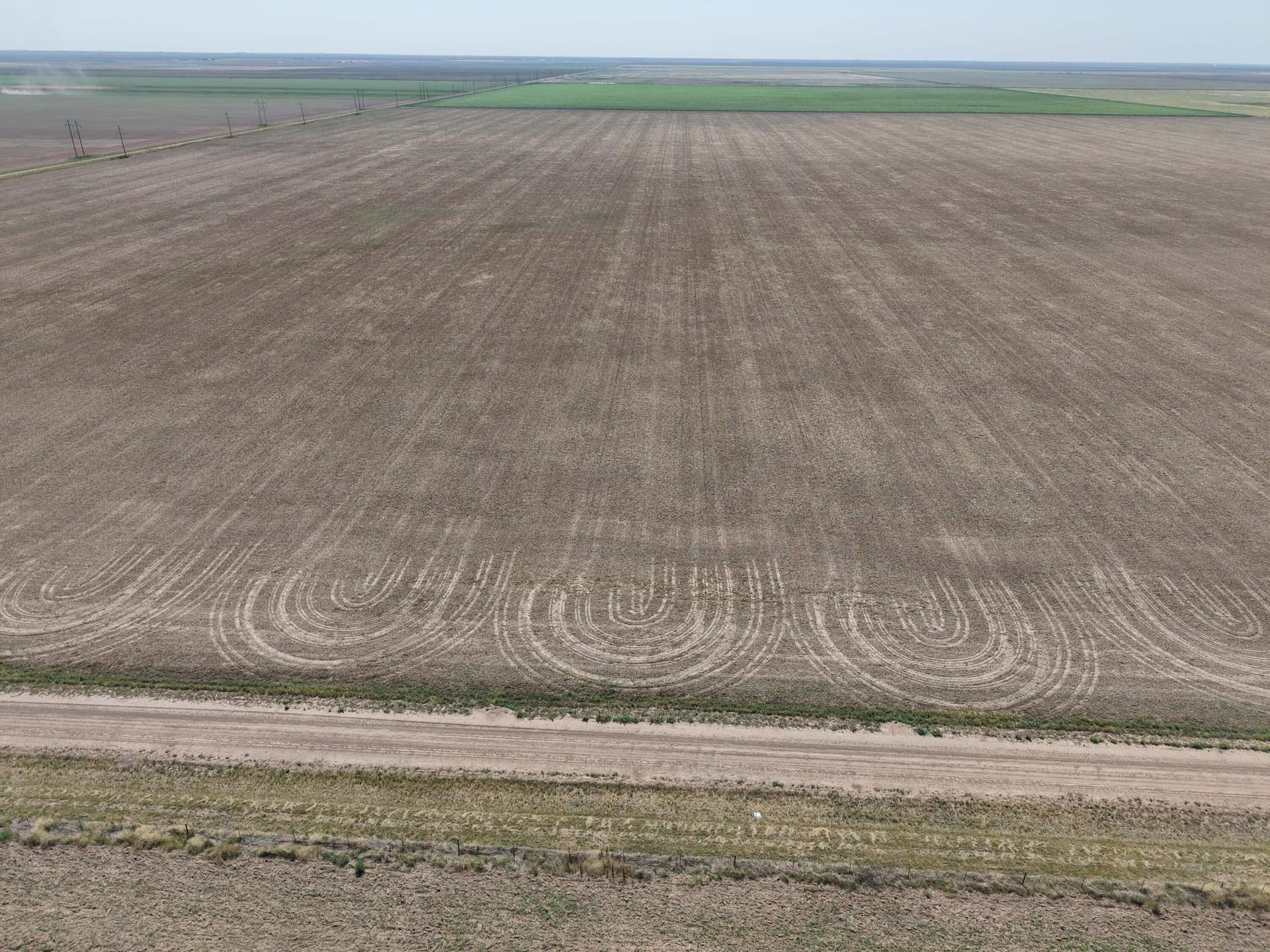 156 acres in Hansford County gallery image 3