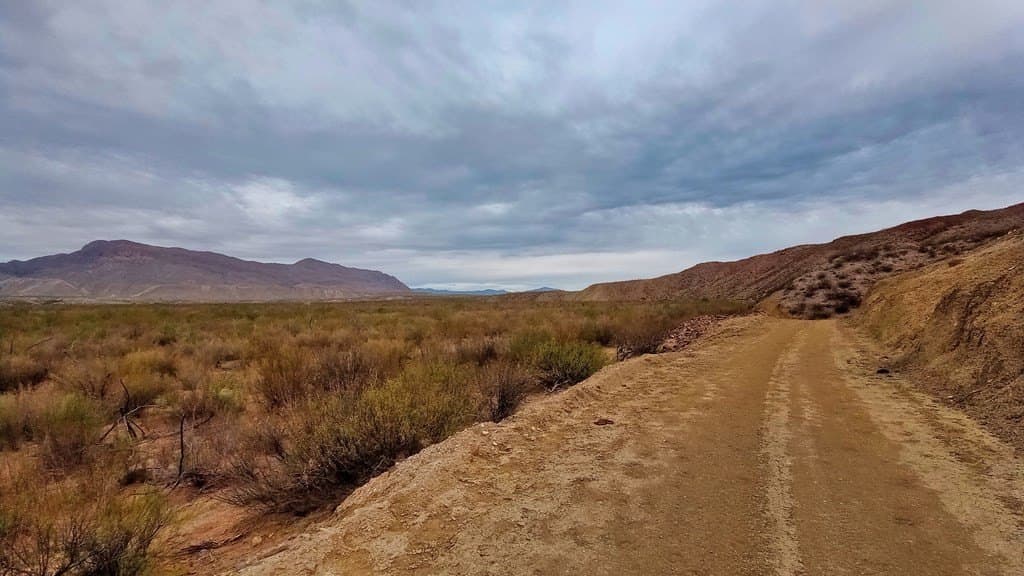 80 acres in Jeff Davis County gallery image 3