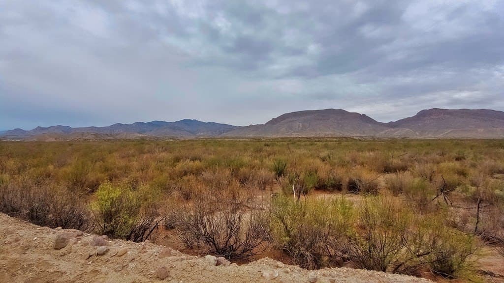 80 acres in Jeff Davis County gallery image 4