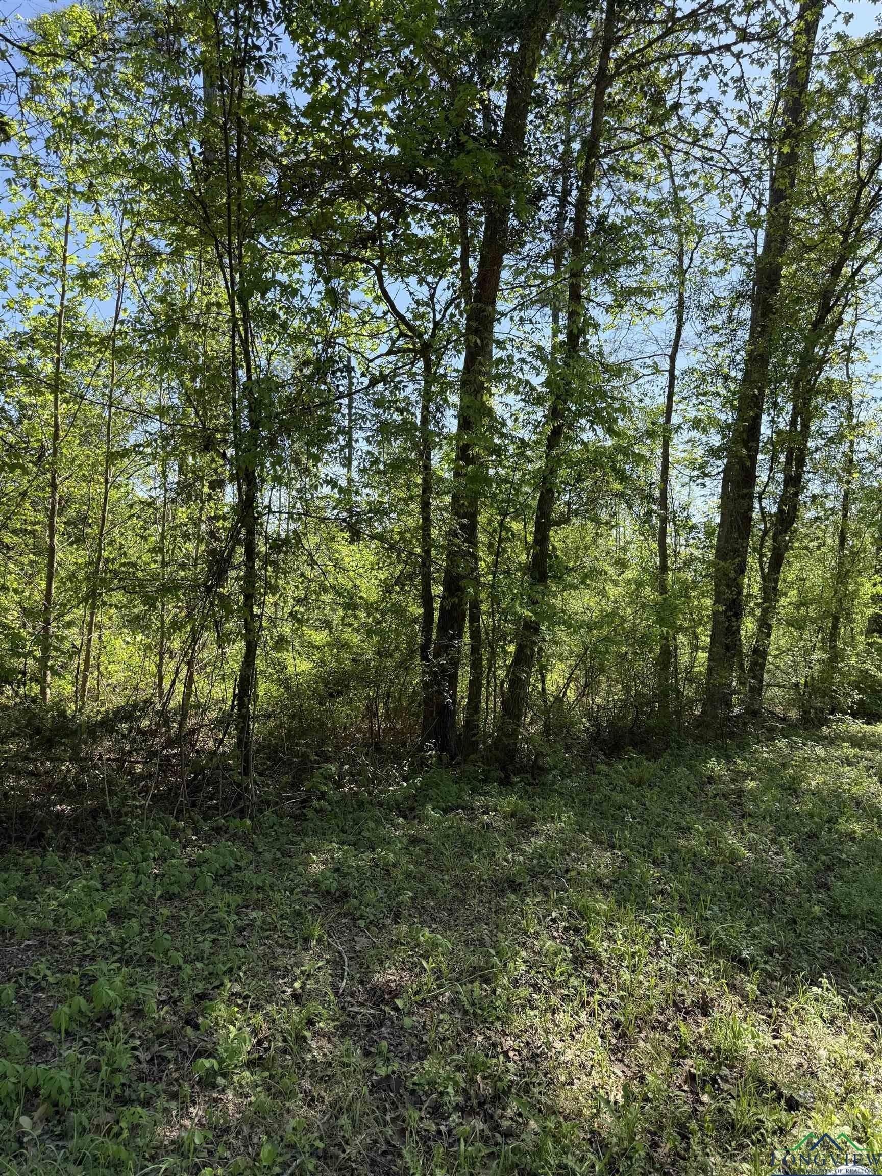 3.8 acres in Rusk County gallery image 2