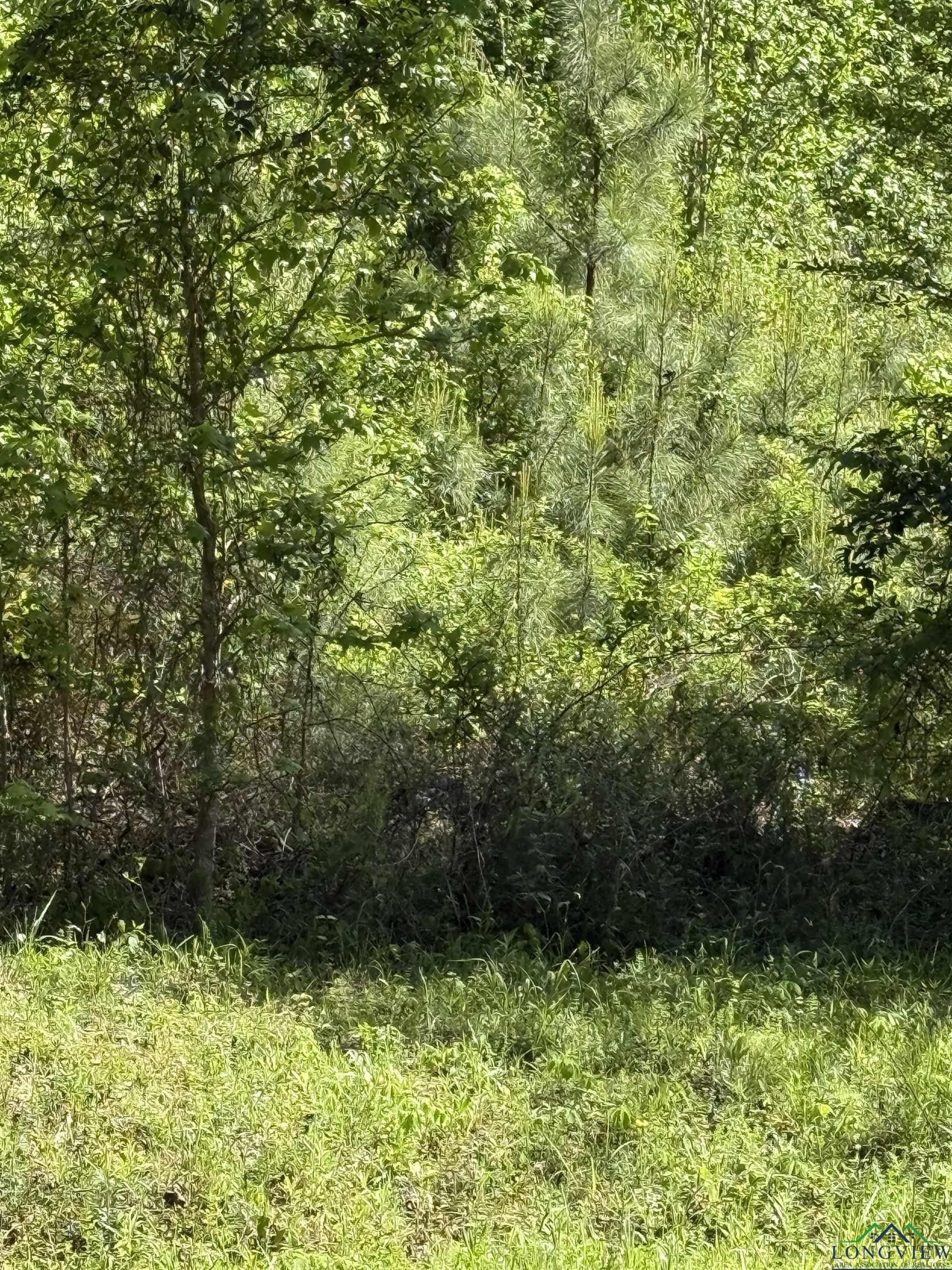 3.8 acres in Rusk County gallery image 3