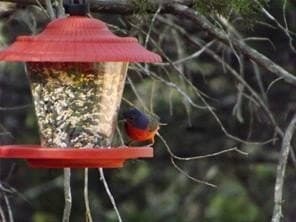 0.56 acres in Hill County gallery image 2