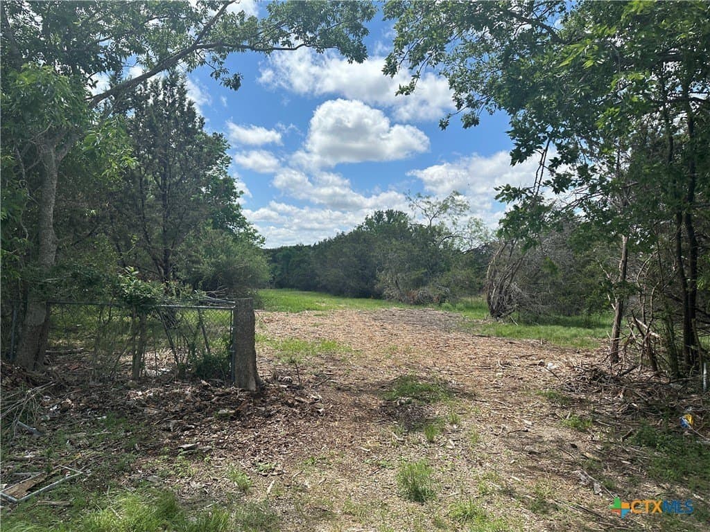 29 acres in Coryell County gallery image 2