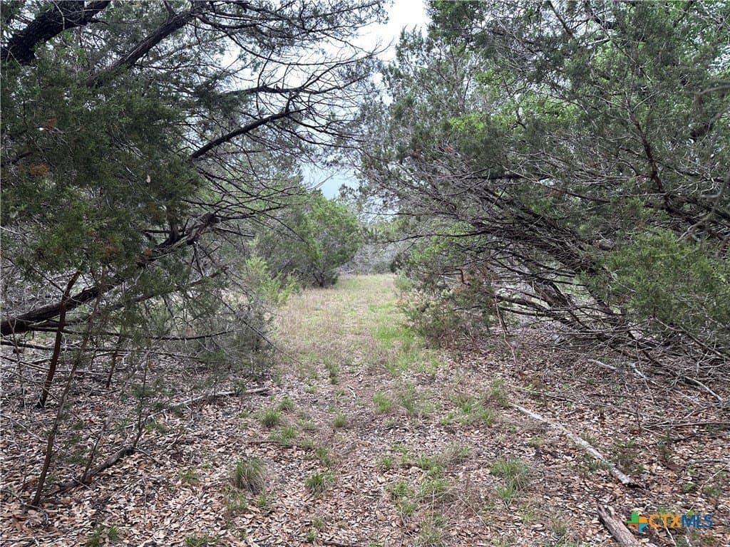 29 acres in Coryell County - photo 26