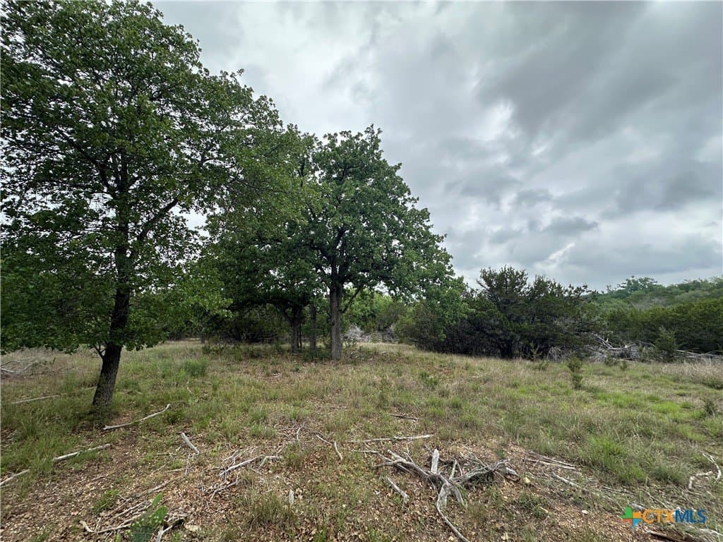29 acres in Coryell County - photo 7