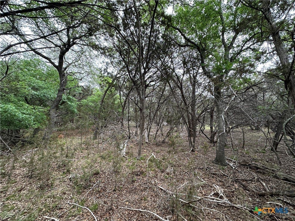 29 acres in Coryell County - photo 27