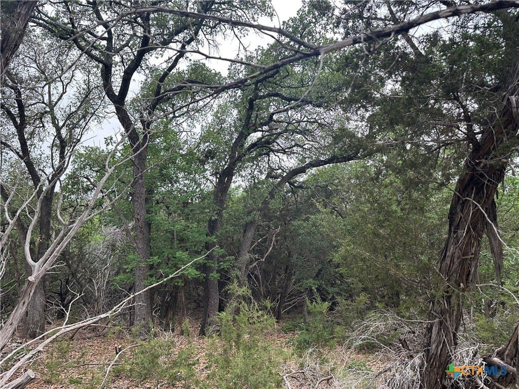 29 acres in Coryell County - photo 24