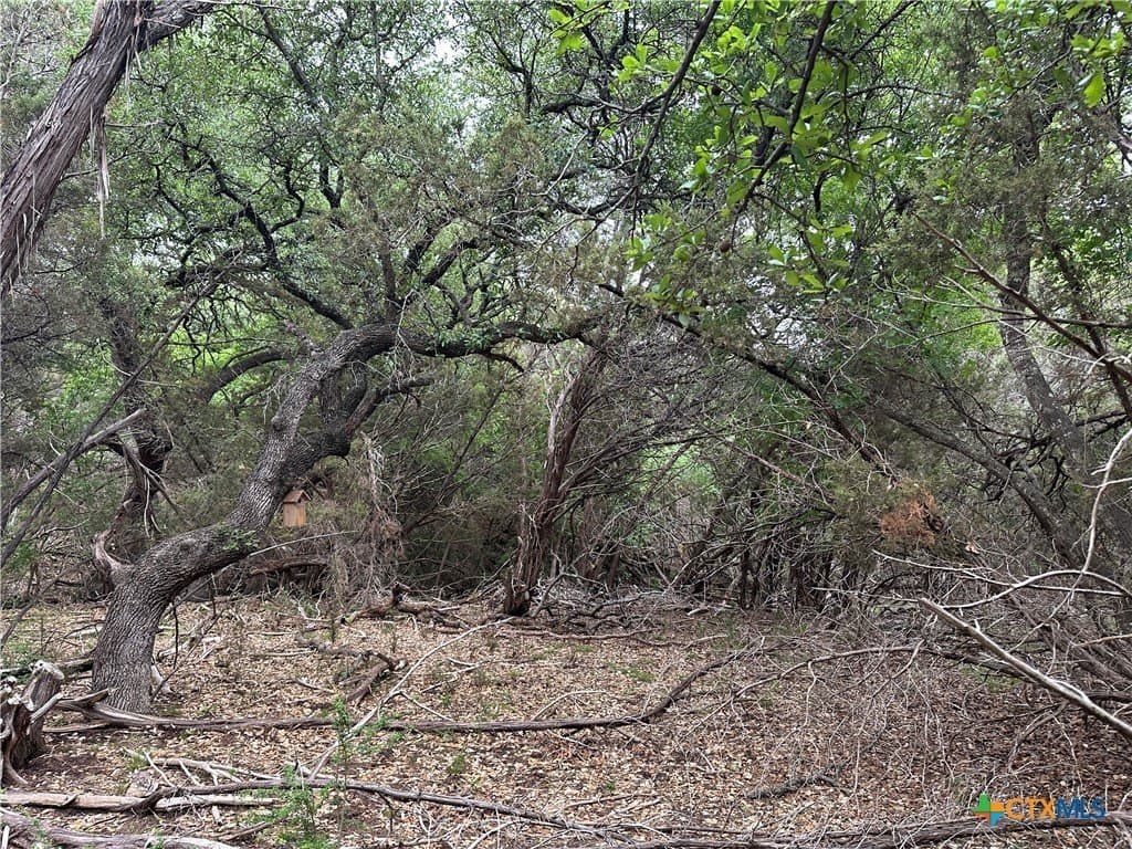 29 acres in Coryell County - photo 25