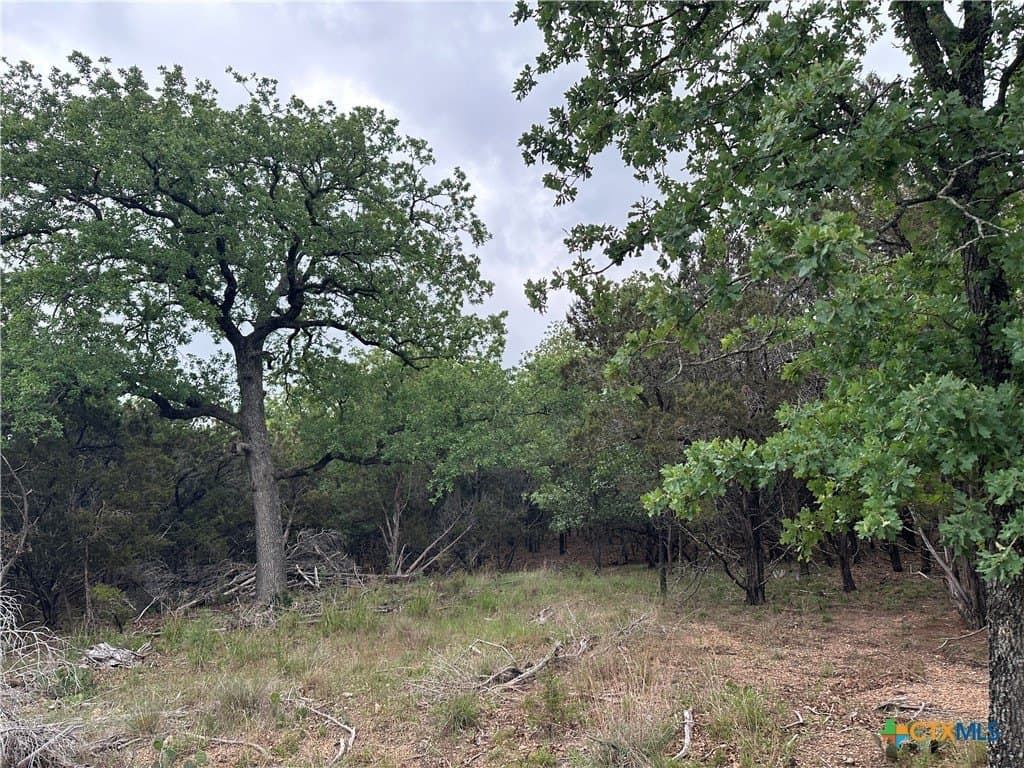 29 acres in Coryell County featured view