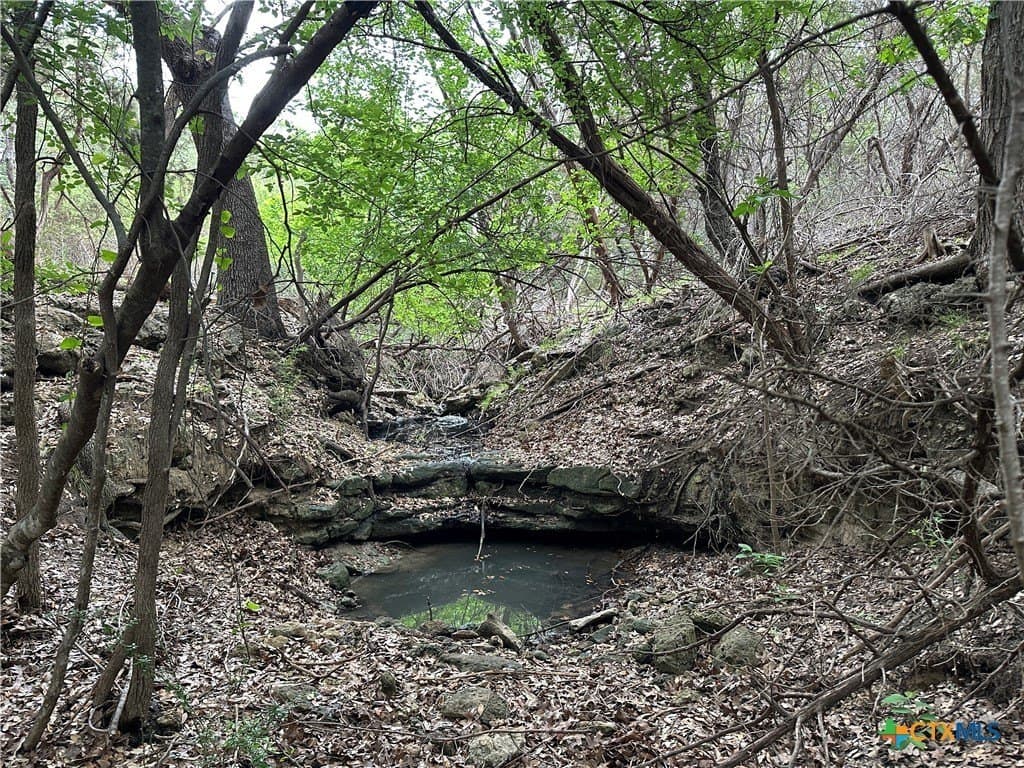 29 acres in Coryell County - photo 8