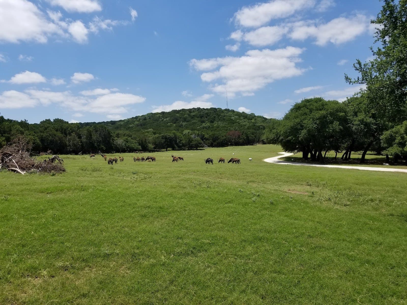 2.2 acres in Somervell County - photo 9