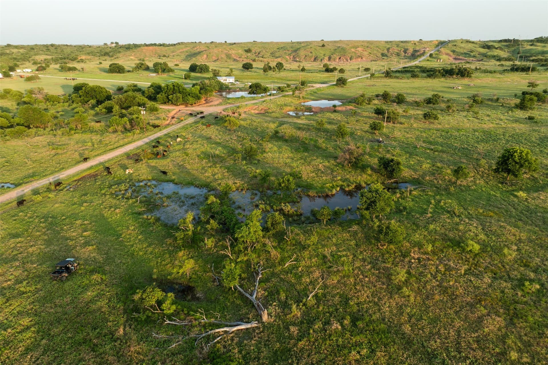 278 acres in Wichita County - photo 15