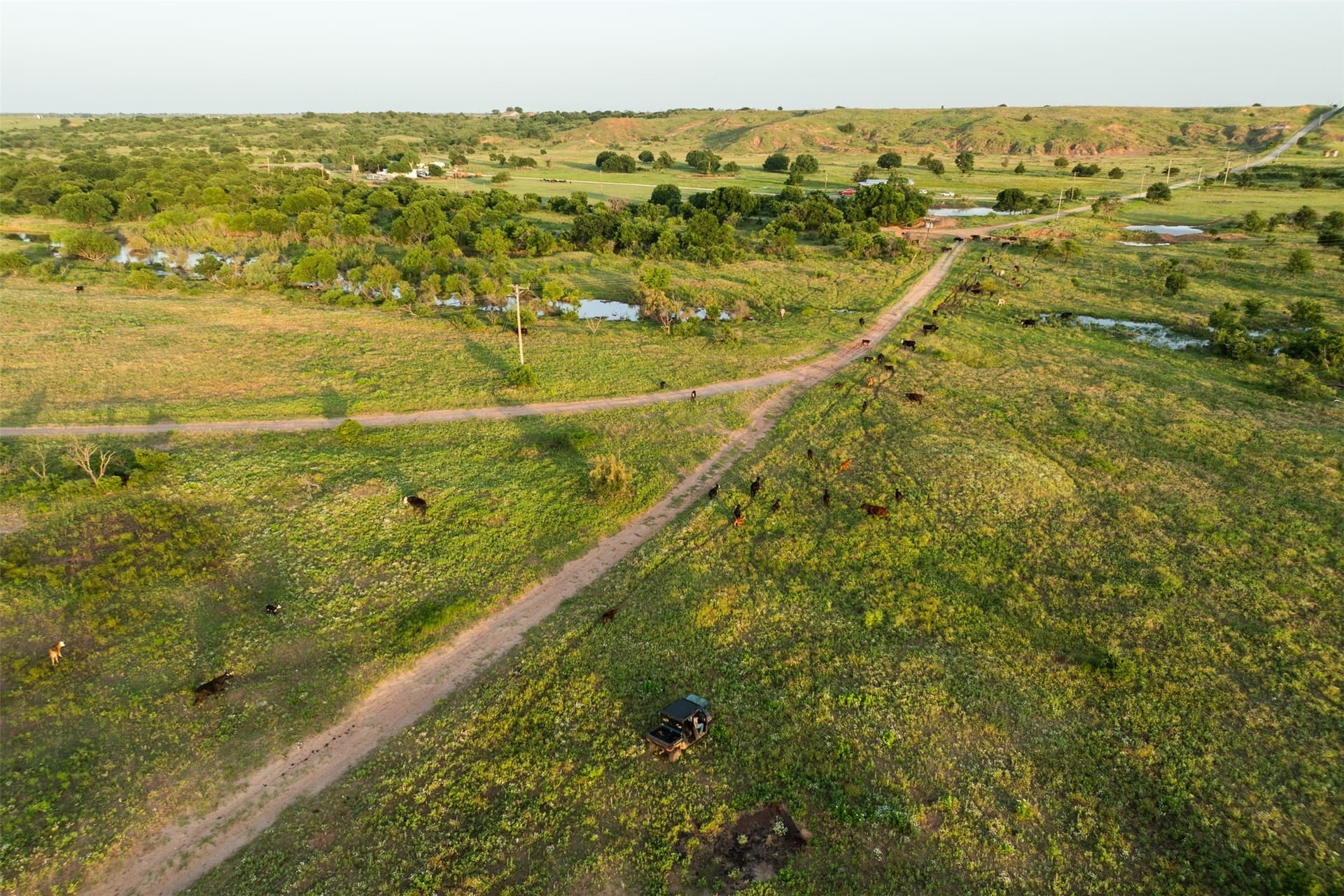 278 acres in Wichita County - photo 14