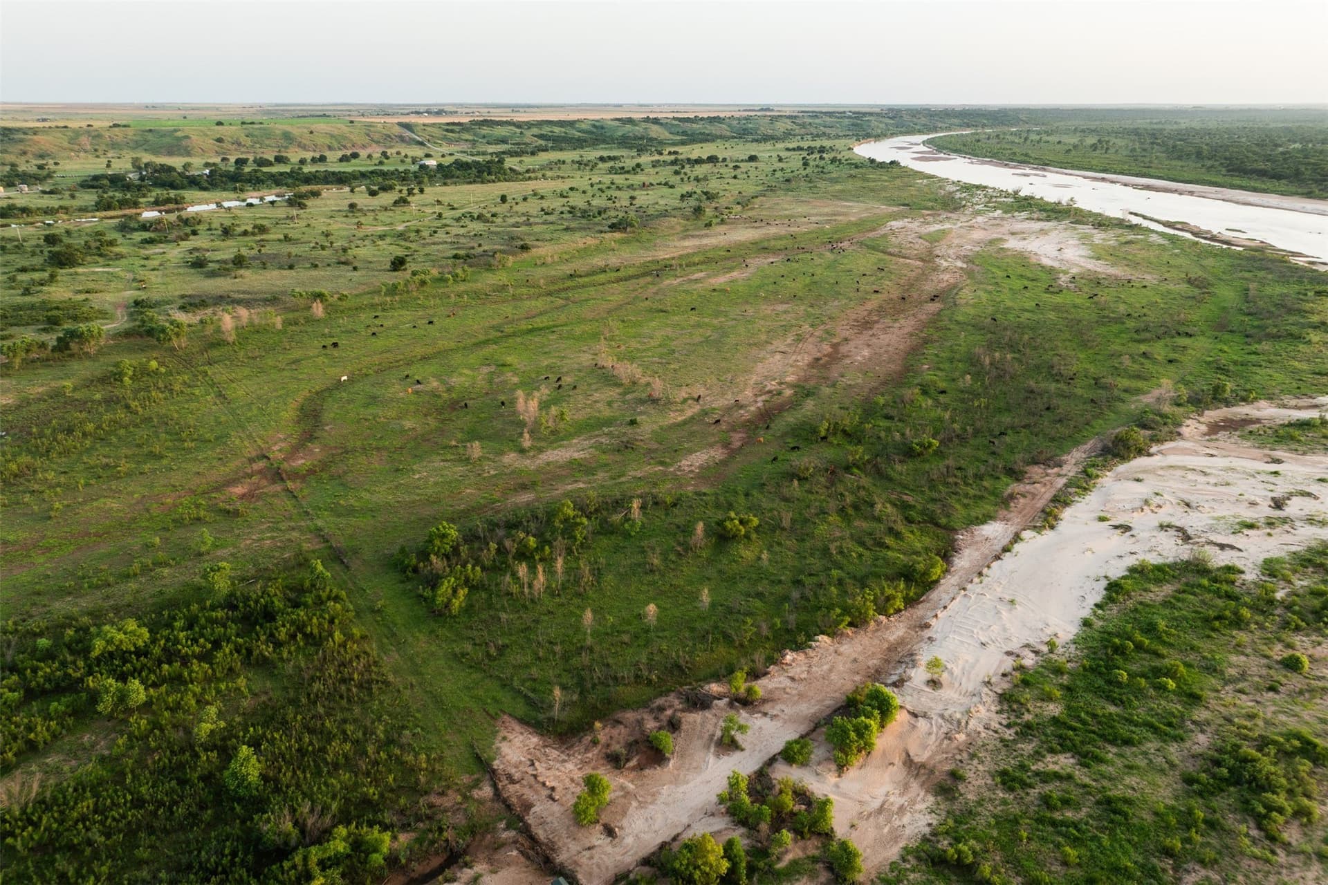278 acres in Wichita County - photo 17