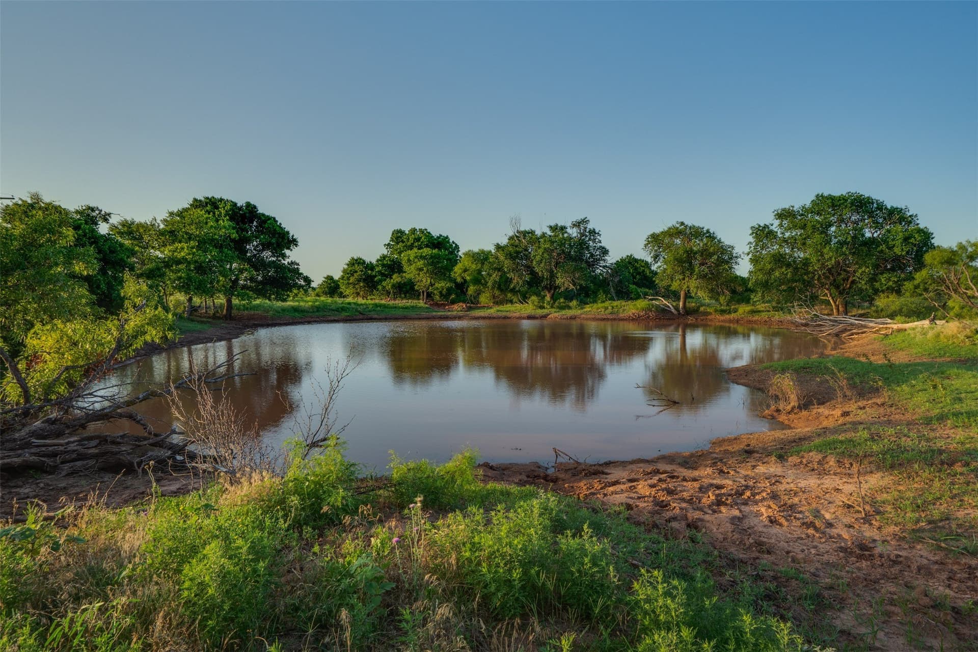 278 acres in Wichita County - photo 37