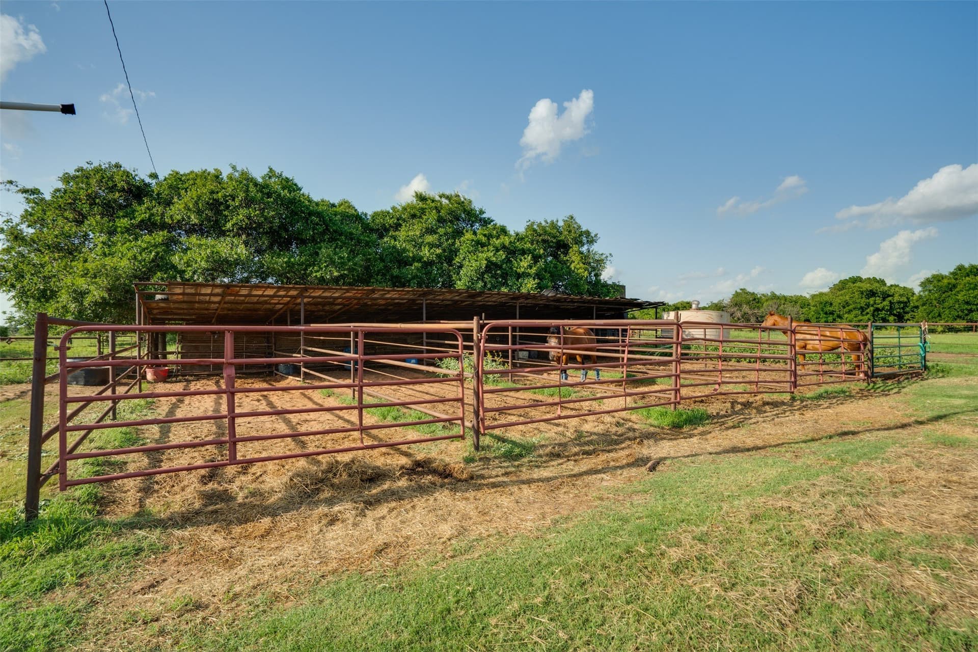 278 acres in Wichita County - photo 34