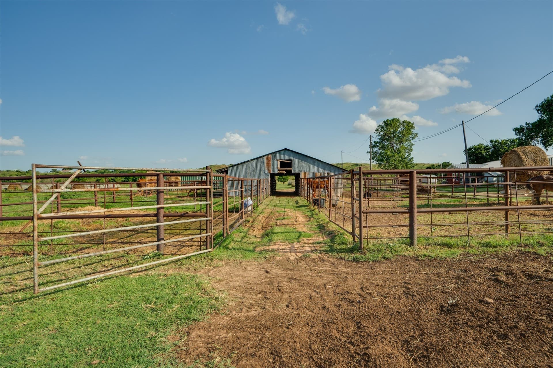 278 acres in Wichita County - photo 33