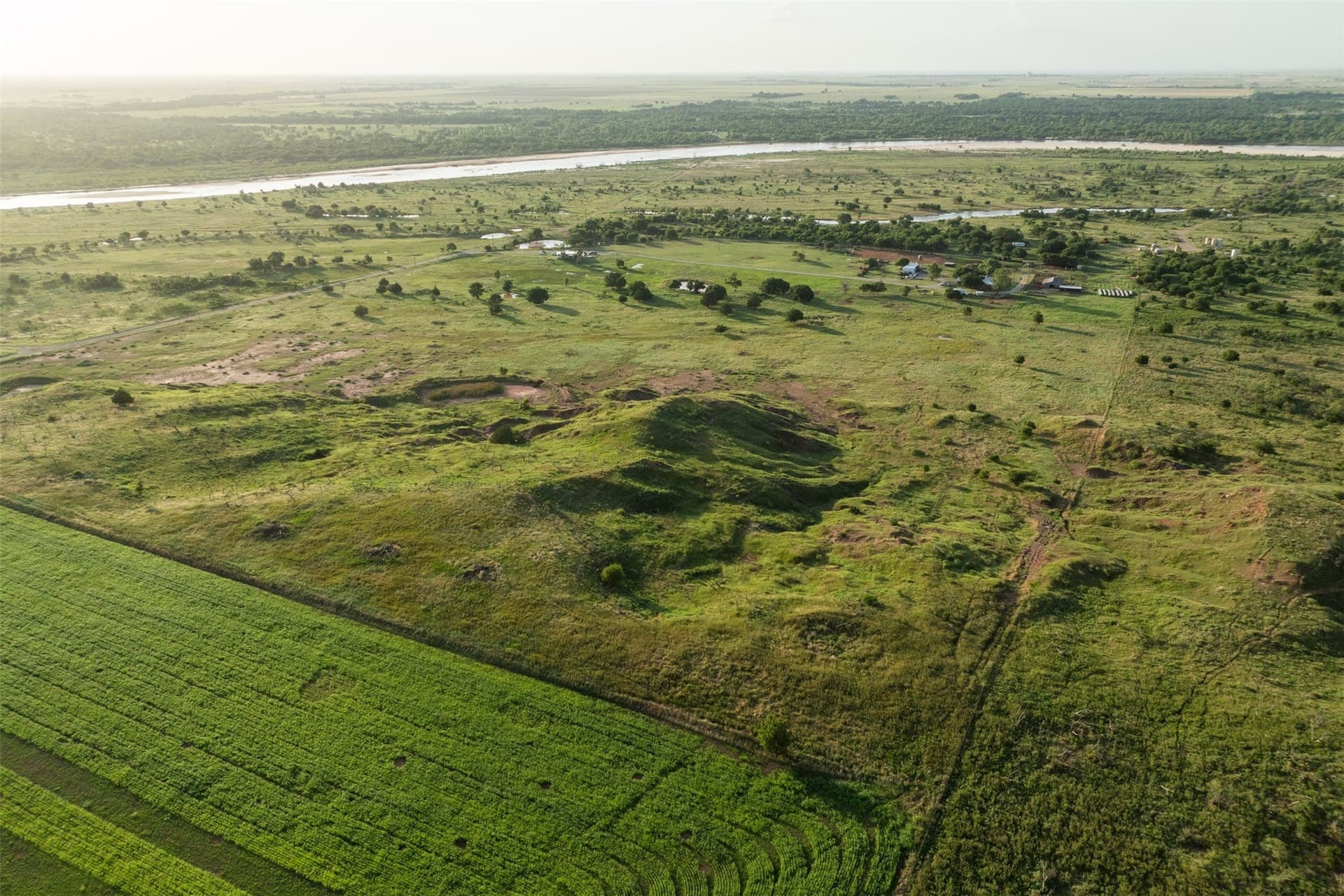 278 acres in Wichita County - photo 6